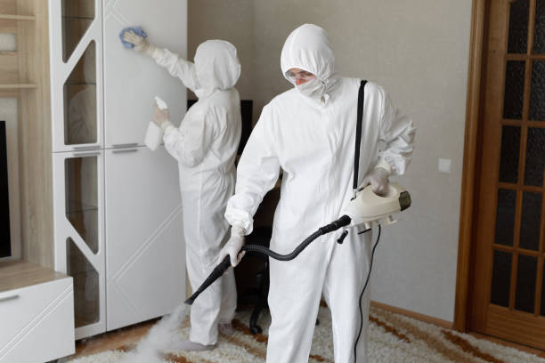 24/7 Emergency Odor Removal experts in Hillsboro, TX