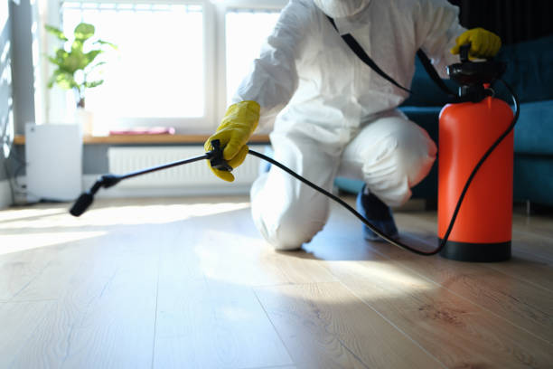 Reliable Odor Removal contractor in Hillsboro, TX by Trauma Clean Pros